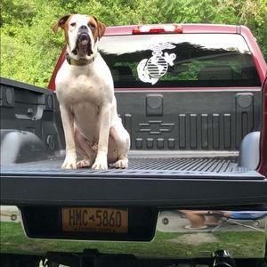 Meet your Posher, Shane